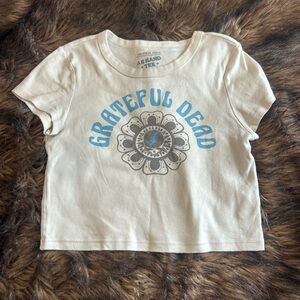 American Eagle Outfitters Cropped Tee - Cream and Blue